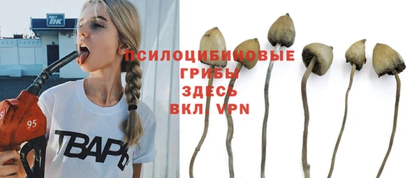 гидра Алексеевка