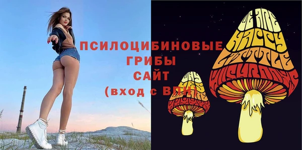 гидра Алексеевка