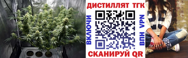 нарко площадка Telegram  блэк спрут как войти  Десногорск  ТГК THC oil 
